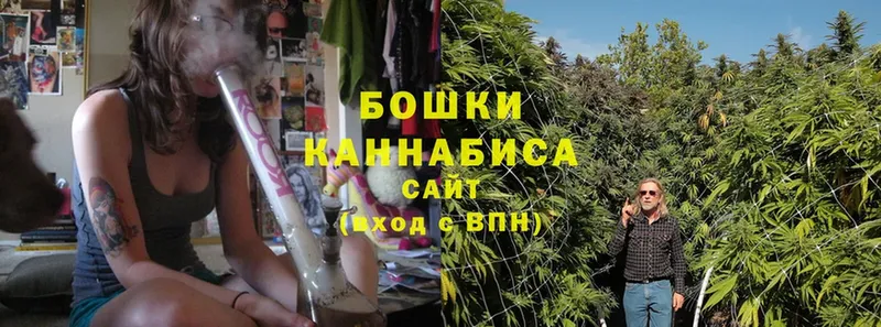 купить наркоту  Бакал  Канабис Ganja 